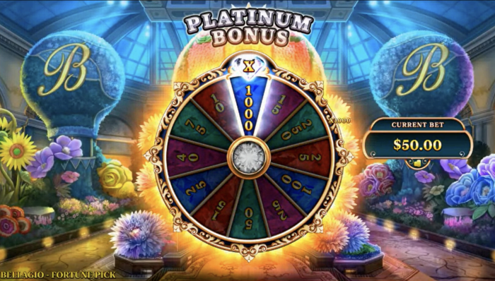 Image for Features Section